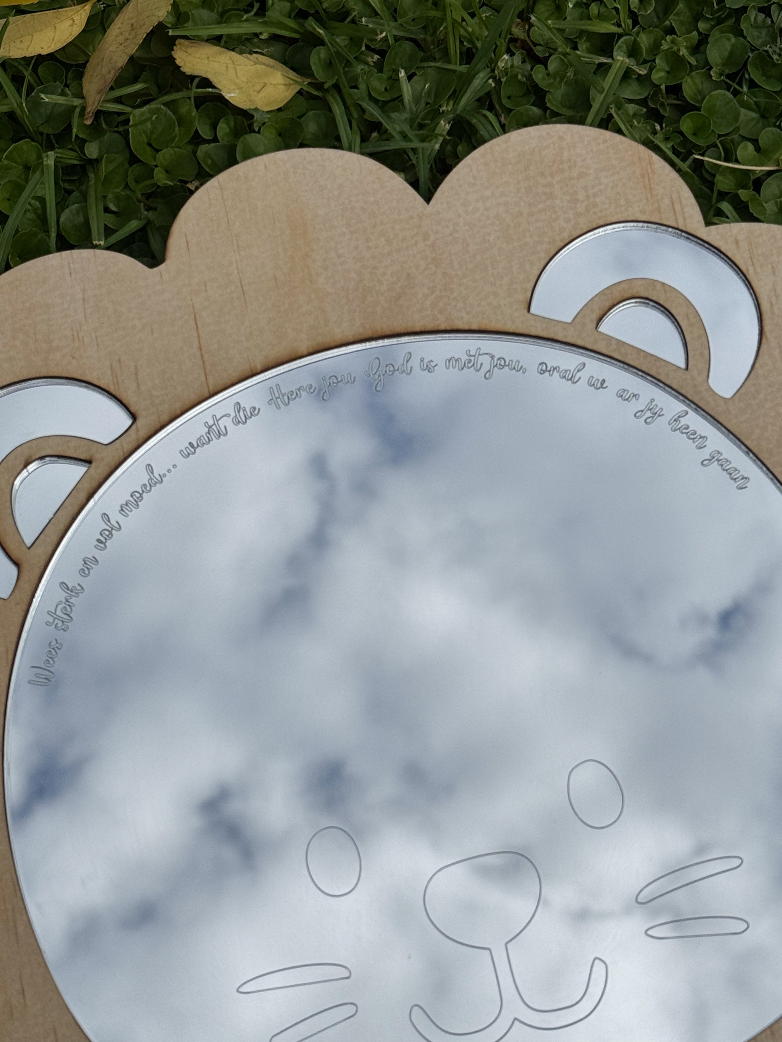 Mirror Lion