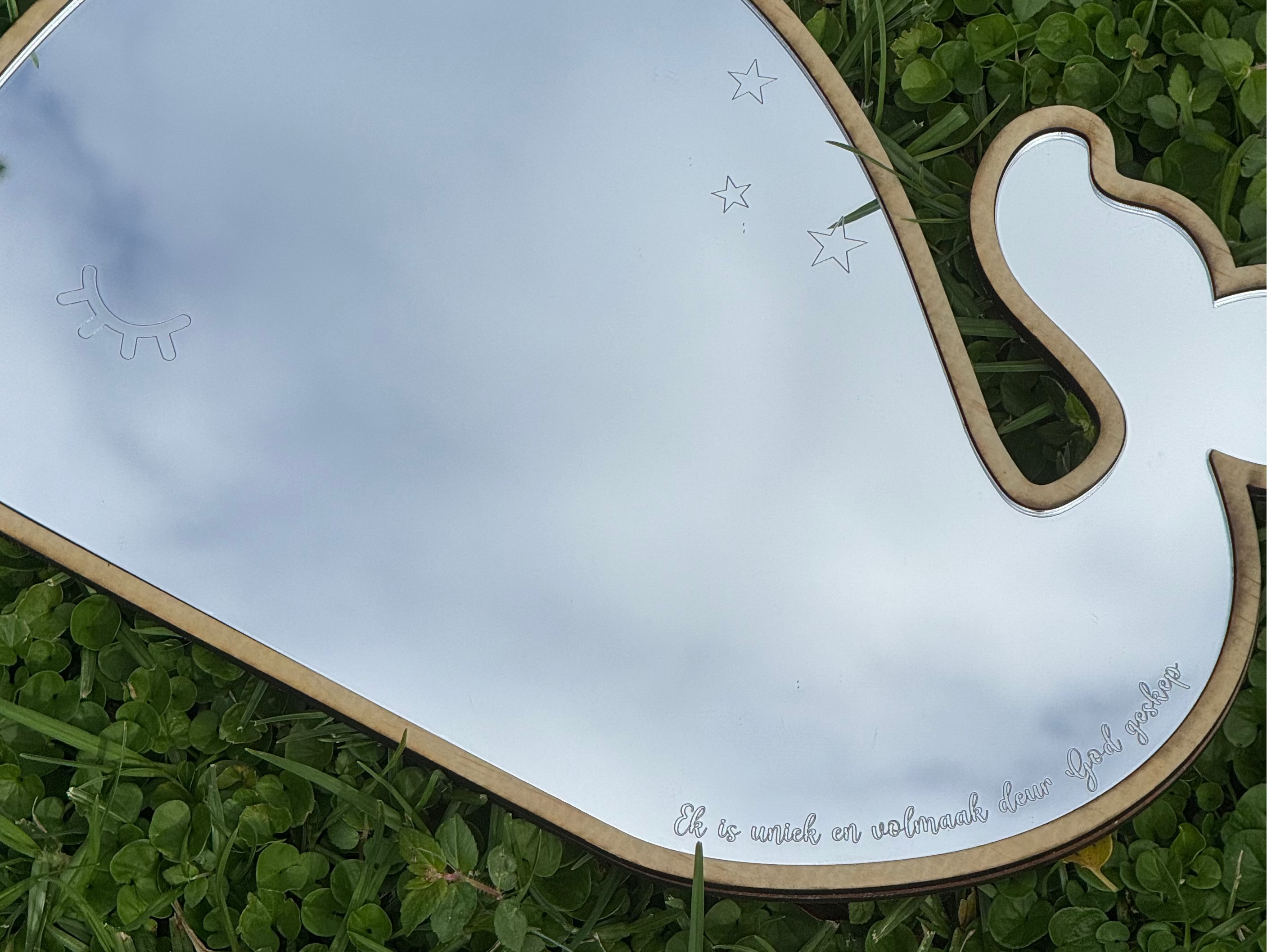 Mirror Whale