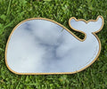 Mirror Whale