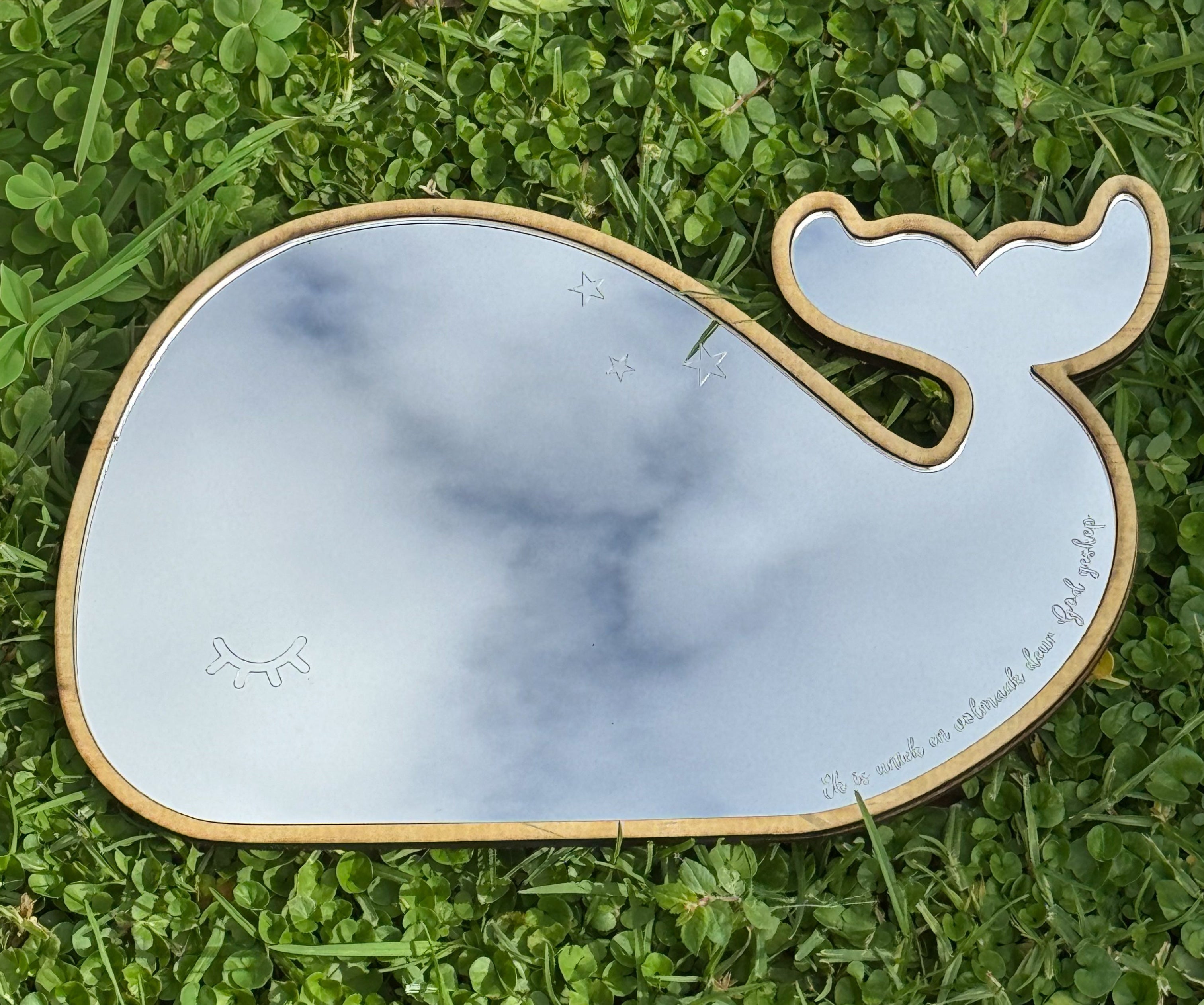 Mirror Whale