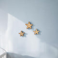 Wall hooks - Starfish Themed